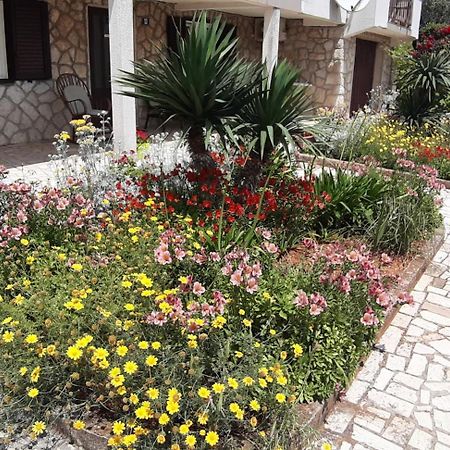 Apartmani Ana Cres Buitenkant foto