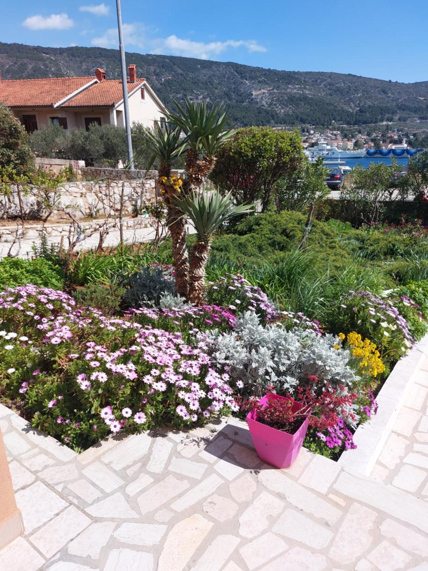 Apartmani Ana Cres Buitenkant foto
