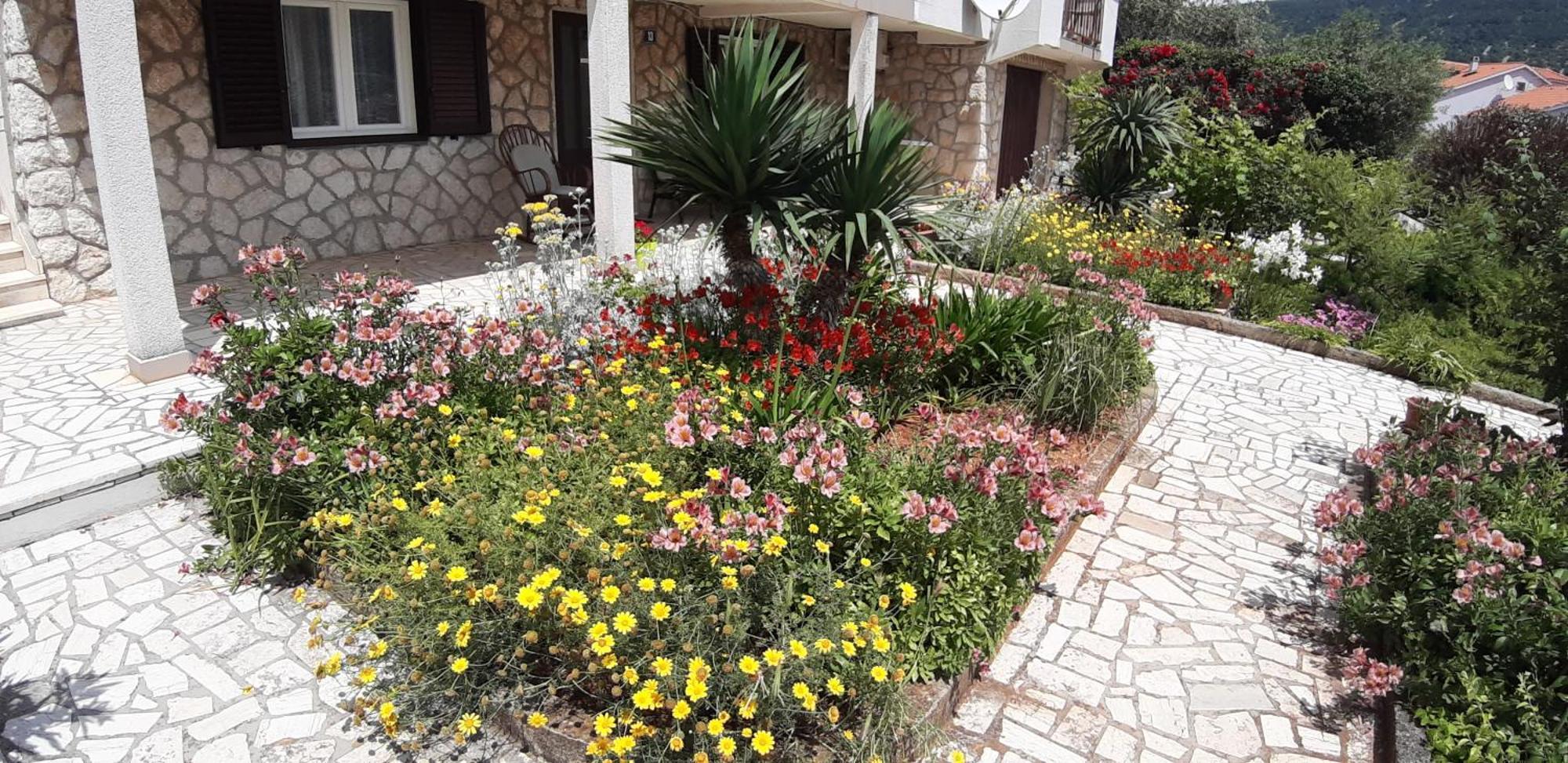 Apartmani Ana Cres Buitenkant foto