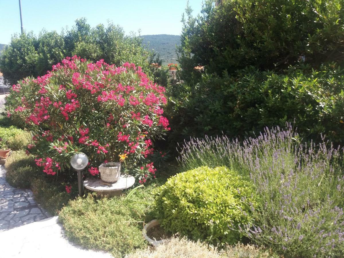 Apartmani Ana Cres Buitenkant foto
